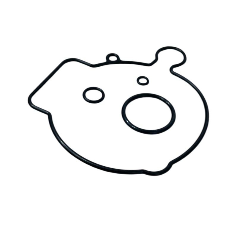 Dichtsatz Vergaser Mikuni BS 24/25, Vespa ET4 125 alt,