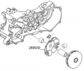 Druckplatte - Kalotte  Variator Piaggio - Gilera Scoot 50ccm