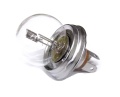 Birne P45t / 12 Volt - 45/40W